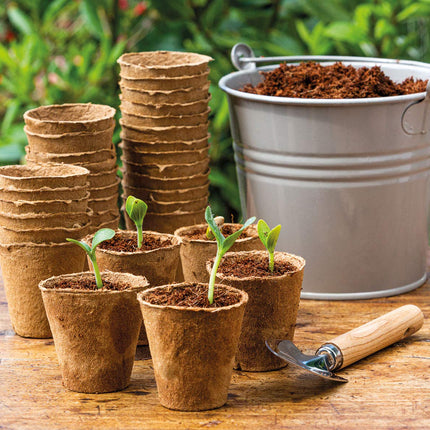 Romberg 10091100 Coconut Grow Pots (Plant Pots) Classic - 6 cm, round, peat-free, biodegradable, 26 pieces