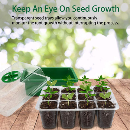 Feizeisun Seed Starter Trays, 12 Pack, 144 Cells, Seed Starter Trays, Plant Germination Kit with Transparent Lids/Adjustable Window for Greenhouse and Gardens, Green