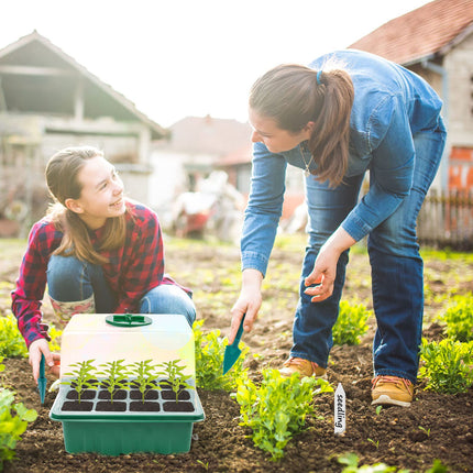 Mini greenhouse cultivation, 5 pieces indoor greenhouse cultivation box with light, greenhouse cultivation tray with high lid, seedling starter trays, cultivation set, 10 labels, 2 tools, for seedling plant