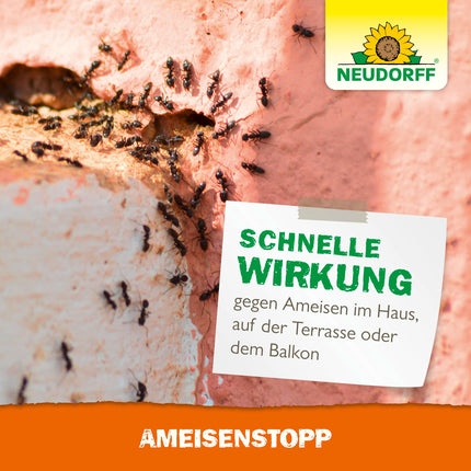 Neudorff AmeisenStopp – Ready-to-use ant litter quickly drives ants out of walkways and nests around the house, insecticide-free, 200 g, white