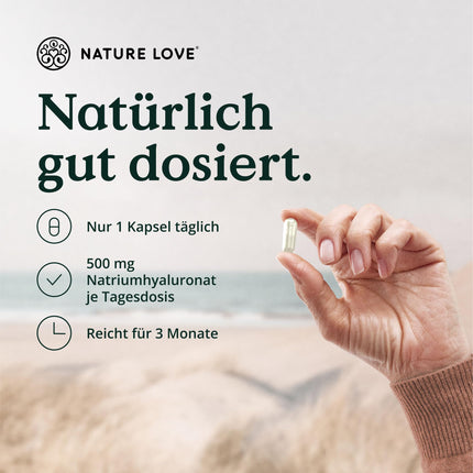 NATURE LOVE® Hyaluronic Acid Capsules with Zinc - High Dose with 500mg - for Skin, Hair &amp; Nails - 90 Hyaluronic Acid Capsules - Vegan, Laboratory Tested, No Additives &amp; Produced in Germany