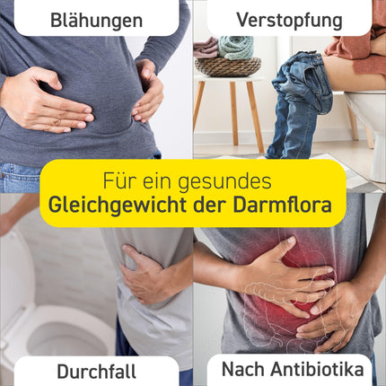 Omniflora N hard capsules - the gastrointestinal remedy for the sustainable improvement of the intestinal flora