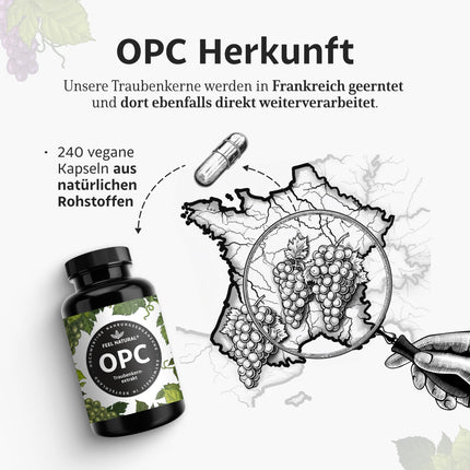 OPC grape seed extract – 240 capsules with 1000mg OPC extract – Highest OPC content according to HPLC – from French grapes – Vegan, high dosage, produced in Germany