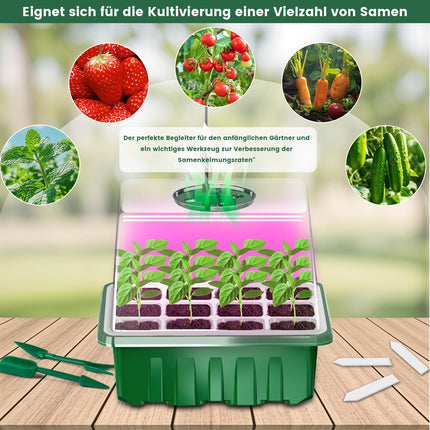 AONYIYI 5 pieces 60 cells cultivation greenhouse small cultivation box indoor greenhouse with light cultivation set with timer cultivation set plants for outdoor indoor