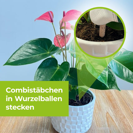PROTECT GARDEN Lizetan Plus Combi Sticks, long-term pest control and premium fertilizer in one, 40 sticks
