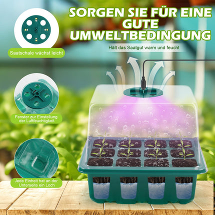 MaxAwe Indoor Greenhouse Propagator with Timing Controller and Seedling Heat Mat, 6 Pack Mini Greenhouse Propagator with 8LED Light, Seedling Starter Trays, Greenhouse Propagator for Plants