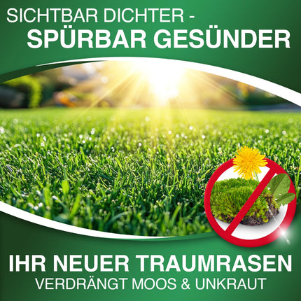 DÜNGEMEISTER lawn fertilizer for your lushest dream lawn – healthy, dense, and lush green lawn immediately with revolutionary AI formula – long-term NPK/Organic spring/summer (5 kg)