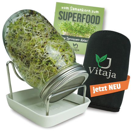 Vitaja sprouting jar set with ceramic bowl - 1 set for sprout cultivation - (incl. darkening cover) - sprouting jars for sprout cultivation - dishwasher safe - cultivation set for the windowsill