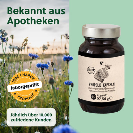 beegut ORGANIC Propolis Capsules, 60 capsules in a vegetable capsule shell with ORGANIC Propolis extract, sustainable packaging