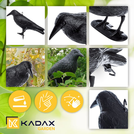 KADAX Black Raven, pigeon repellent and pigeon deterrent made of plastic, bird repellent, natural pest control, protection against annoying birds