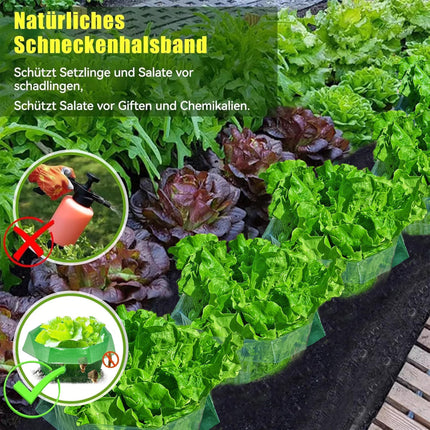 Sunshine smile 20 pieces snail collar, snail collar made of plastic, snail protection, snail protection rings, snail ring garden. Effective snail protection for your lettuce plants and hanging tomatoes.