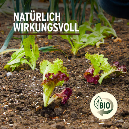 Substral Naturen Snail Pellets Limex Bio, natural, rainproof bait granules for snail control, for 400 m² - 1.2 kg, dog
