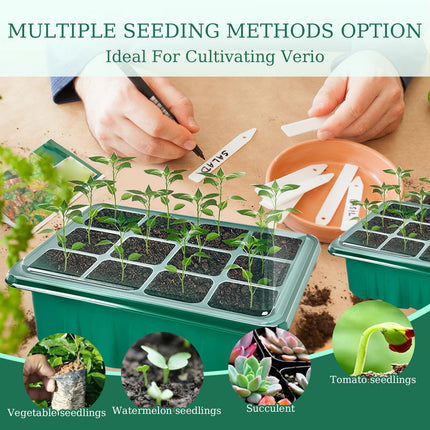 ZITUZY Indoor Greenhouse Propagator with Plant Lamp, 5 Pieces Mini Greenhouse Propagation Set, Trays Greenhouse Propagation Tray for Plants, 10 Labels, 2 Tools, with Raised Lid