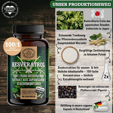 Resveratrol -1000mg per daily dose- IMPORTANT: 100:1 extract (=100000mg Japanese knotweed root) + piperine | 98% Trans-Resveratrol high dosage | Laboratory tested -DE- SCHEUNENGUT®