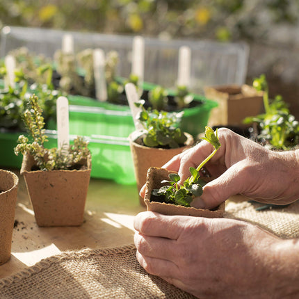 Meister Growing Pots 8 x 8 cm - Practical set of 48 - 100% peat-free made from PEFC-certified cellulose - Biodegradable / Plant Pot / Seed Pot / Plant Propagation / 9968280