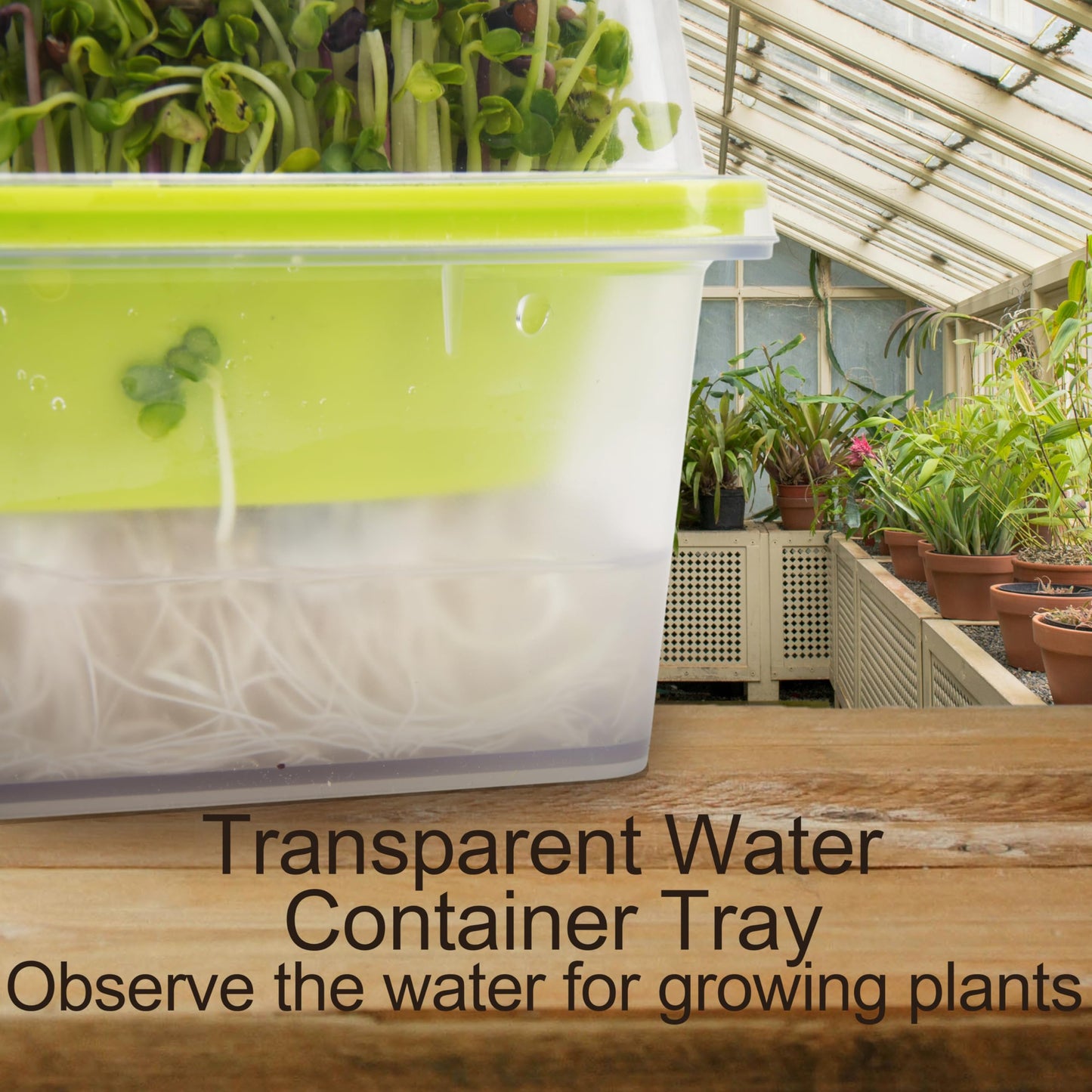 6er Set transparente Mikrogrün-Schalen mit Kunststoff-Humidity-Dom, BPA-freie Keimschale, wiederverwendbare Saatgutschale zum Anpflanzen von Katzengras, Brokkoli, Bohnensprossen und vielem mehr