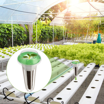 Seed Capsule Kit for Aerogarden, Grow-Anything Kit for Hydroponics, Plant Capsule Kit A&amp;B for Solid Plant Fertilization with Plant Baskets, Grow Sponges, Plant Domes, and Labels, (12 Pieces)