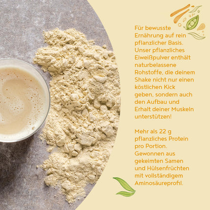 Vegan protein powder | Vanilla | 1.2 kg protein powder | Premium quality protein | Made in Germany | Alpha Foods