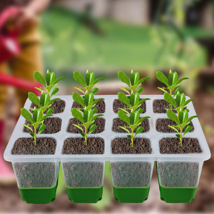BYZESTY Indoor Greenhouse Propagator, 4 Pieces 48 Cells Mini Greenhouse Propagation Set with Raised Lid, Growing Plate Pot Plate, Seedling Starter Trays Greenhouse for Seedlings