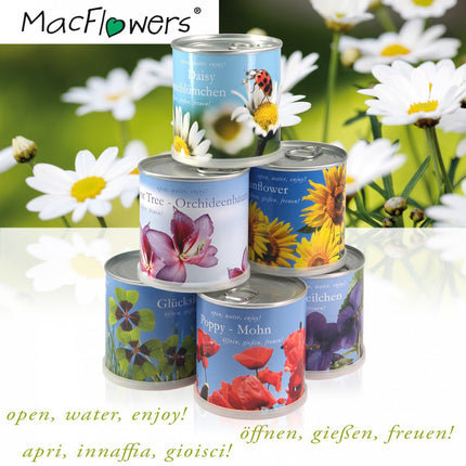 MacFlowers | Small Grow Kit with Sunflowers | Design Happy Birthday Packages | Gift set with one variety of seeds in a cute instant flower tin