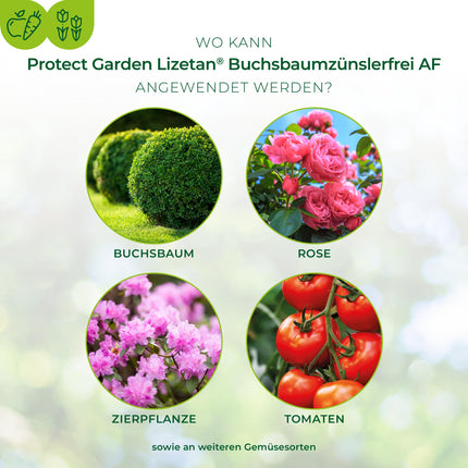 PROTECT GARDEN Lizetan Box Tree Moth Free AF, ready-to-use spray against box tree moths, 1 liter