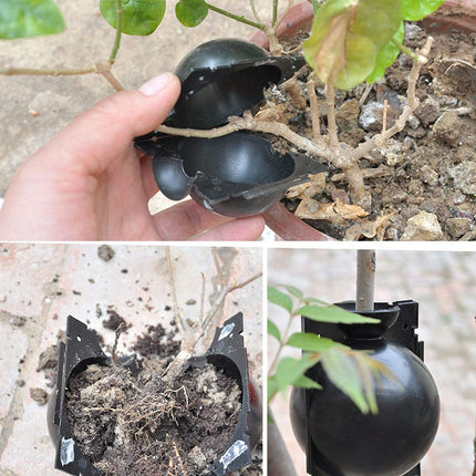 Plant Rooting Device Box Plant Root Booster Propagators Gardening High Pressure Propagation Ball Box Reusable Growing Grafting For Garden Grafting Root Formation, 12 Pieces1