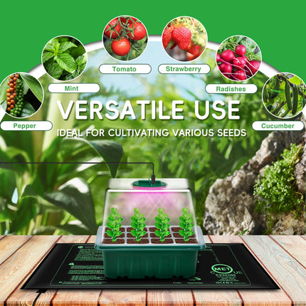 YAUNGEL Indoor Greenhouse Propagator with Plant Lamp Heating Mat, 5 Pieces Mini Greenhouse Propagation Set with Timing Controller Adjustable Brightness, Thickened Greenhouse with Lid and Ventilation