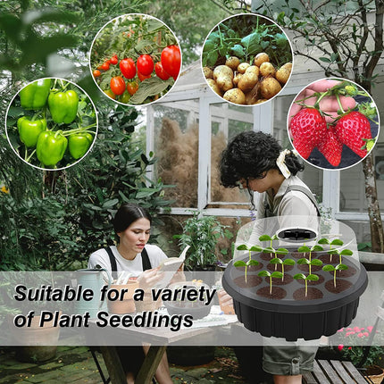 Indoor greenhouse cultivation box, 3 pieces 39 cells, mini greenhouse cultivation set, cultivation tray with cover, greenhouse plastic cultivation trays, with 5 small gardening tools + 30 plant labels (black)