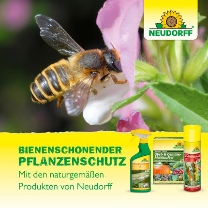 Neudorff Neudosan AF New Aphid-Free – Controls aphids, whiteflies, and spider mites on fruit, vegetables, herbs, and ornamental plants, 500 ml