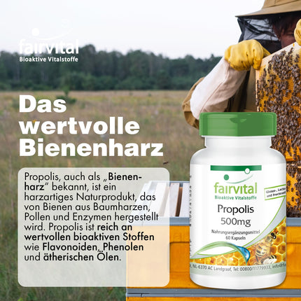 Fairvital | Bee Propolis 500mg - 3 x 60 Capsules - HIGH DOSE