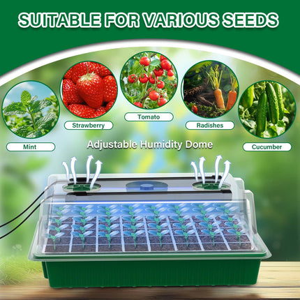 AONYIYI Indoor Greenhouse Propagator, 2 Pack 80 Hole Mini Greenhouse Propagator with 4 Grow Lights, Propagator with Timing Controller Adjustable Brightness with 10 Plant Labels