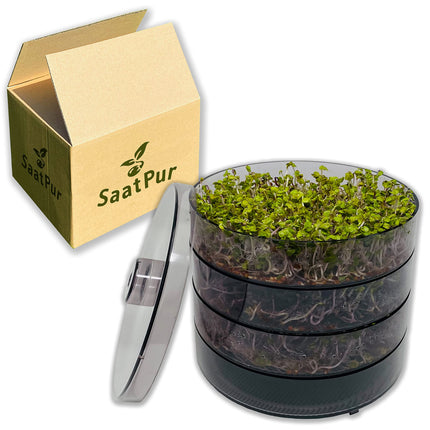 SaatPur® Sprouting Box Set 3 with three levels as a sprouting device: Sprout cultivation and microgreens growing trays. Germination box, germination tray, quality, sprouting box, sprouting house, germination device