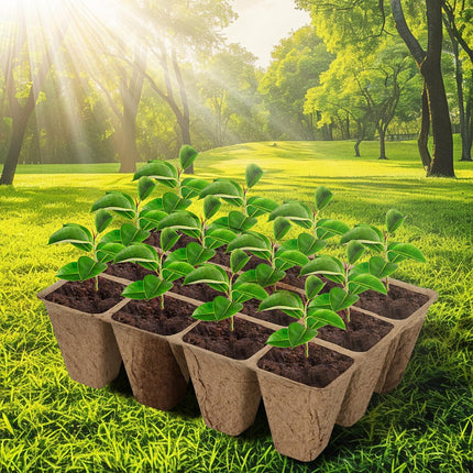 Ulikey 10 Pack Indoor Greenhouse Propagator, 120 Hole Mini Greenhouse Propagator with 20 Plant Labels and 2 Gardening Tools, Degradable Grow Pots with Lids, Ventilation for Seedling Plants (Black)