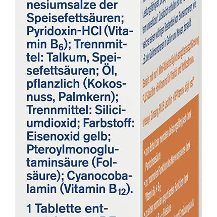 tetesept Ginseng plus Lecithin + B Vitamins - High Dose - Dietary Supplement to Support Nerves and Vitalize the Body Thanks to B Vitamins - 1 x 30 Mini Tablets