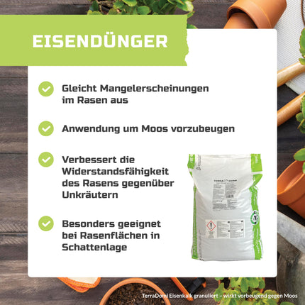 TerraDomi Iron Fertilizer 25kg for approx. 1000m² | Turbo fertilizer tailored to lawns with moss | Granulated, suitable for spreader applications and dust-free
