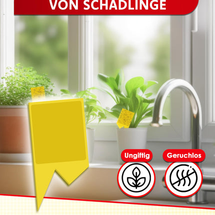 PIC Yellow Stickers for Fungus Gnats - 60x yellow stickers against fungus gnats, effective yellow trap for fungus gnats and against small flies in potting soil, alternative to nematodes against fungus gnats