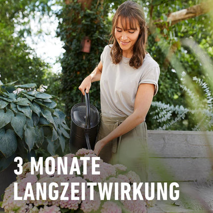 Compo Balcony and Pot Plant Fertilizer Sticks with Guano