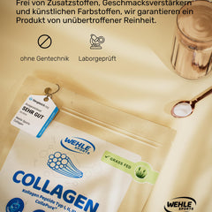 Collagen Powder 1 KG - Bioactive Collagen Hydrolysate Peptides, Protein Powder, Tasteless, Wehle Sports Made in Germany Collagen Type 1, 2 &amp; 3 Lift Drink 1000g
