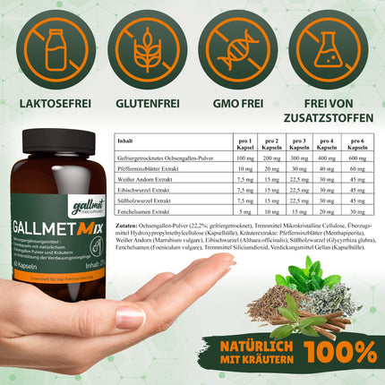 GALLMET Bile Acid Ox Bile, 60 Capsules, 100 mg + Herbs 37.5 mg, Digestive Enzymes for Liver, Bile, Bloating, Fatty Liver, Lactose Intolerance, Gastritis, Intestinal Cleansing, Ox Bile, Bile Salts