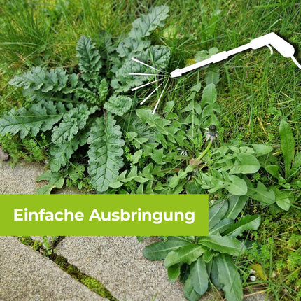 PROTECT GARDEN Permaclean base Acetum, turbo-fast weed removal on paths, squares and patios, 5 litre canister