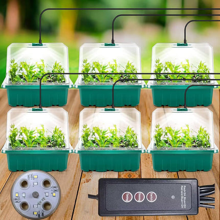 Indoor greenhouse cultivation box, 6 pieces mini greenhouse cultivation with high lid, seedling starter with timing controller (8 LEDs), trays greenhouse cultivation tray with 10 labels and 2 tools