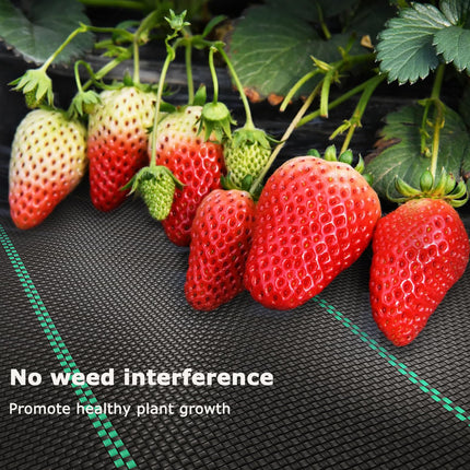 OUNUO 3mx10m Weed Control Fabric Garden Fleece 90g/m², Weed Fabric Against Weeds Tear-Resistant Ribbon Fabric, Roll Weed Film Water-Permeable and High UV Stabilization