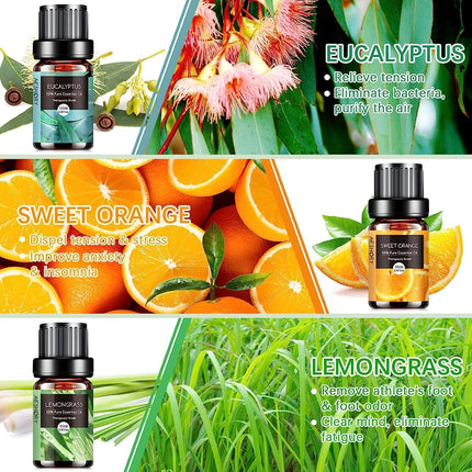 AESHORY Essential Oils Set for Diffuser 6 x 10ML, 100% Pure Aromatherapy Fragrance Oil, Aroma Oil Gift Set for Soap, Candles, Humidifier, SPA - Lavender, Mint, Tea Tree, Sweet Orange, Eucalyptus
