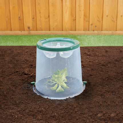 Garantia Sunny planting bell (ø 35 cm, height 30 cm, cultivation hood for fruit / vegetables, with ground anchor + watering troughs) 645061, clear