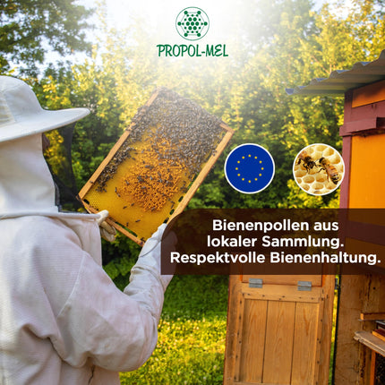 Propol-mel - Bee Pollen (EU) 1 kg – 100% natural product. Pure bee pollen. Source of proteins, amino acids, lipids, vitamins, and minerals.