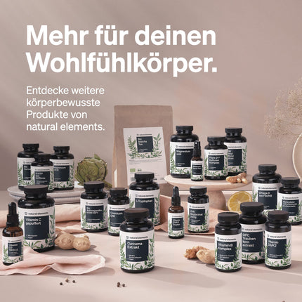 Milk Thistle Artichoke Dandelion Complex - 120 Capsules - Highly dosed with 80% silymarin - Without magnesium stearate, vegan and produced in Germany
