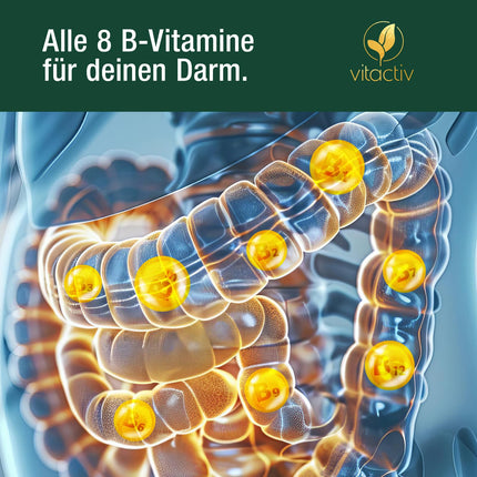 VITACTIV Intestinal Friends - Probiotic Culture Complex - 60 Probiotic Capsules - 30 Bacterial Strains, 100 Billion CFU/g - Lactobacillus &amp; Bifidobacteria, Acacia Fiber as Prebiotic, 8 B Vitamins