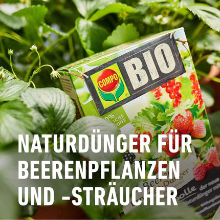COMPO BIO Berry Long-Term Fertilizer for all berry plants, pome and stone fruit, 5 months long-term effect, 750 g, Berry Fertilizer