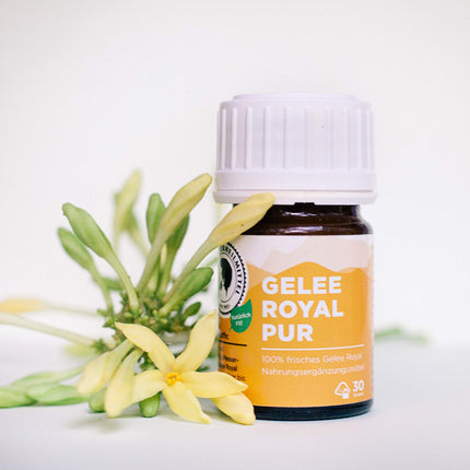 AKTIV NATURHEILMITTEL Pure Royal Jelly | 30g | High-quality royal jelly (bee's milk) | Delivered chilled