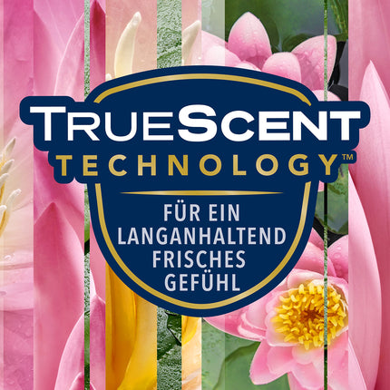 Glade (Brise) Automatic Spray, Room Fragrance, Holder incl. 1 Refill, Relaxing Zen, 269 ml